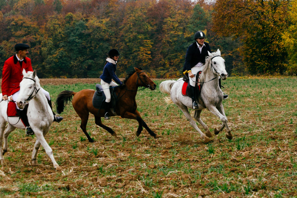 Hubertus 20