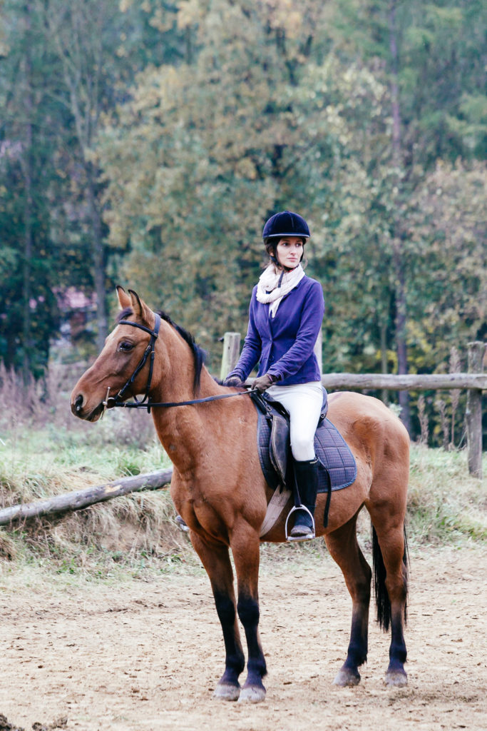 Hubertus 6