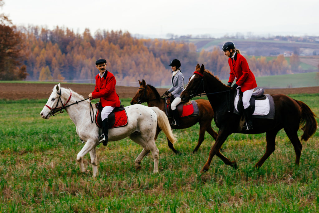 Hubertus2019 MPolinski all 19