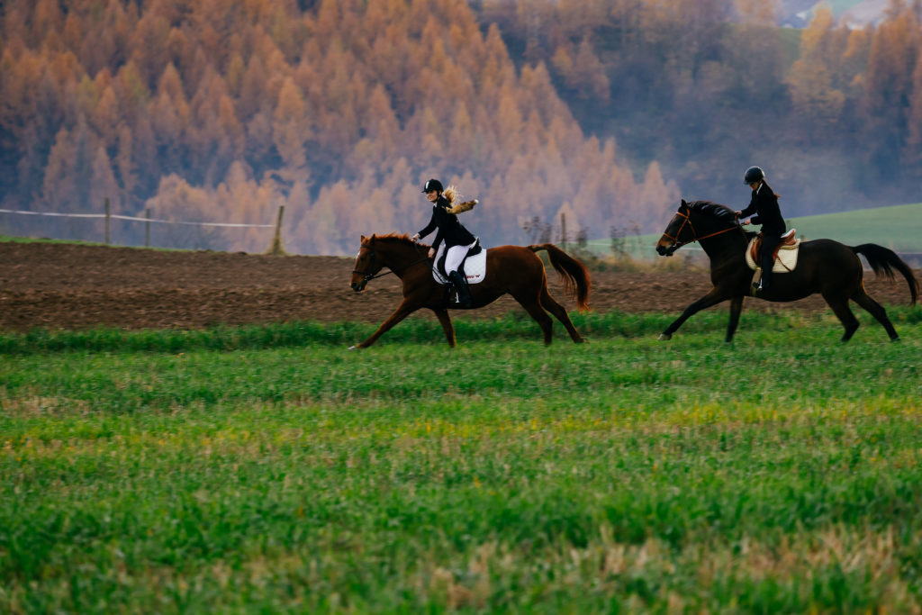 Hubertus2019 MPolinski all 20