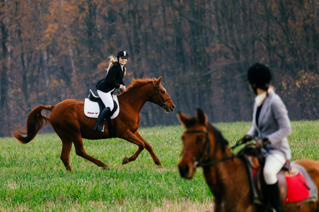 Hubertus2019 MPolinski all 21