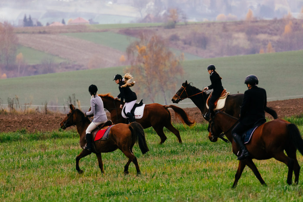 Hubertus2019 MPolinski all 24