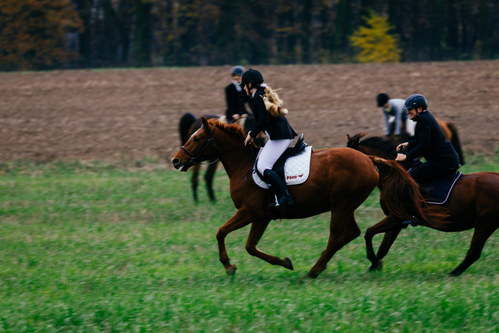 Hubertus2019 MPolinski all 28