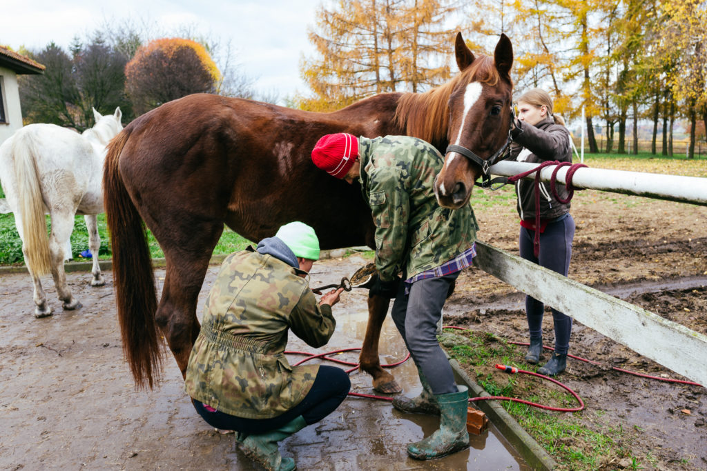Hubertus2019 MPolinski all 6