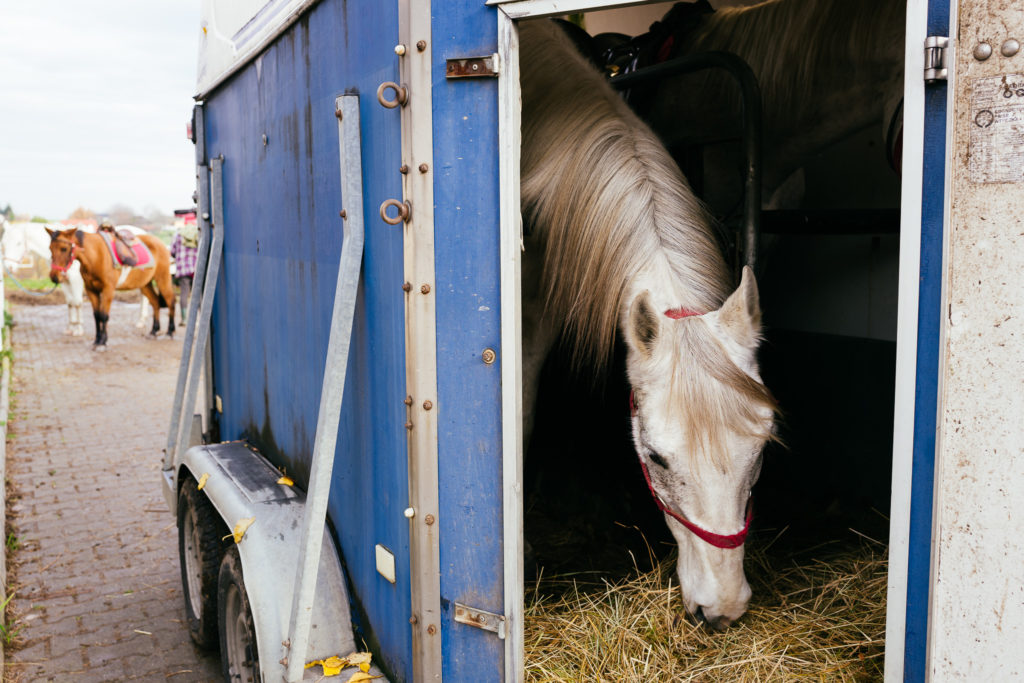 Hubertus2019 MPolinski all 8